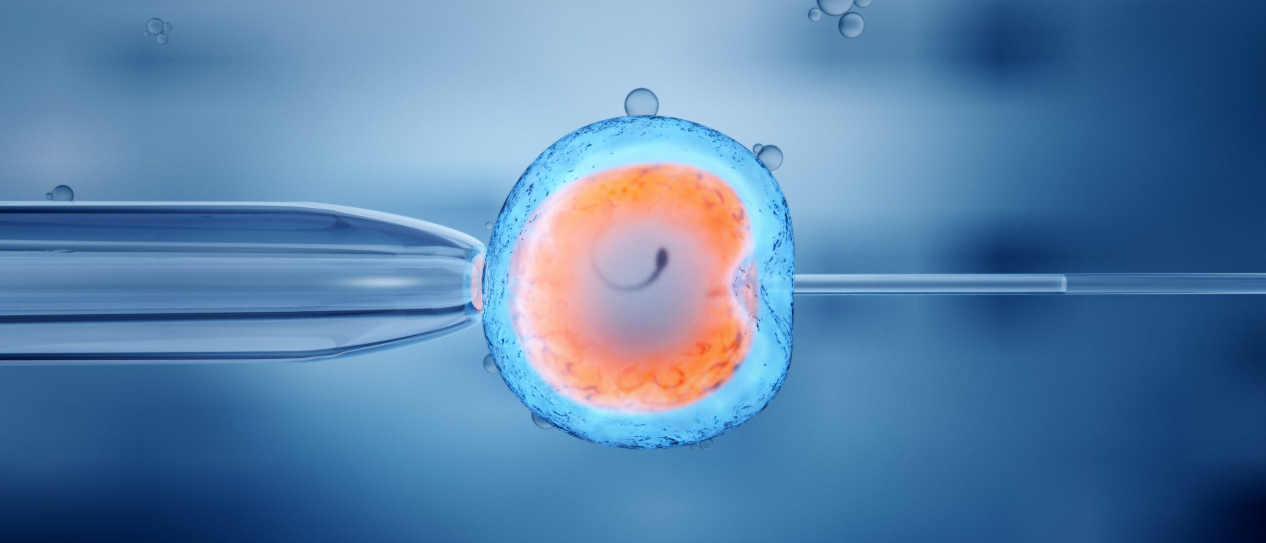 Human-animal embryo experiments