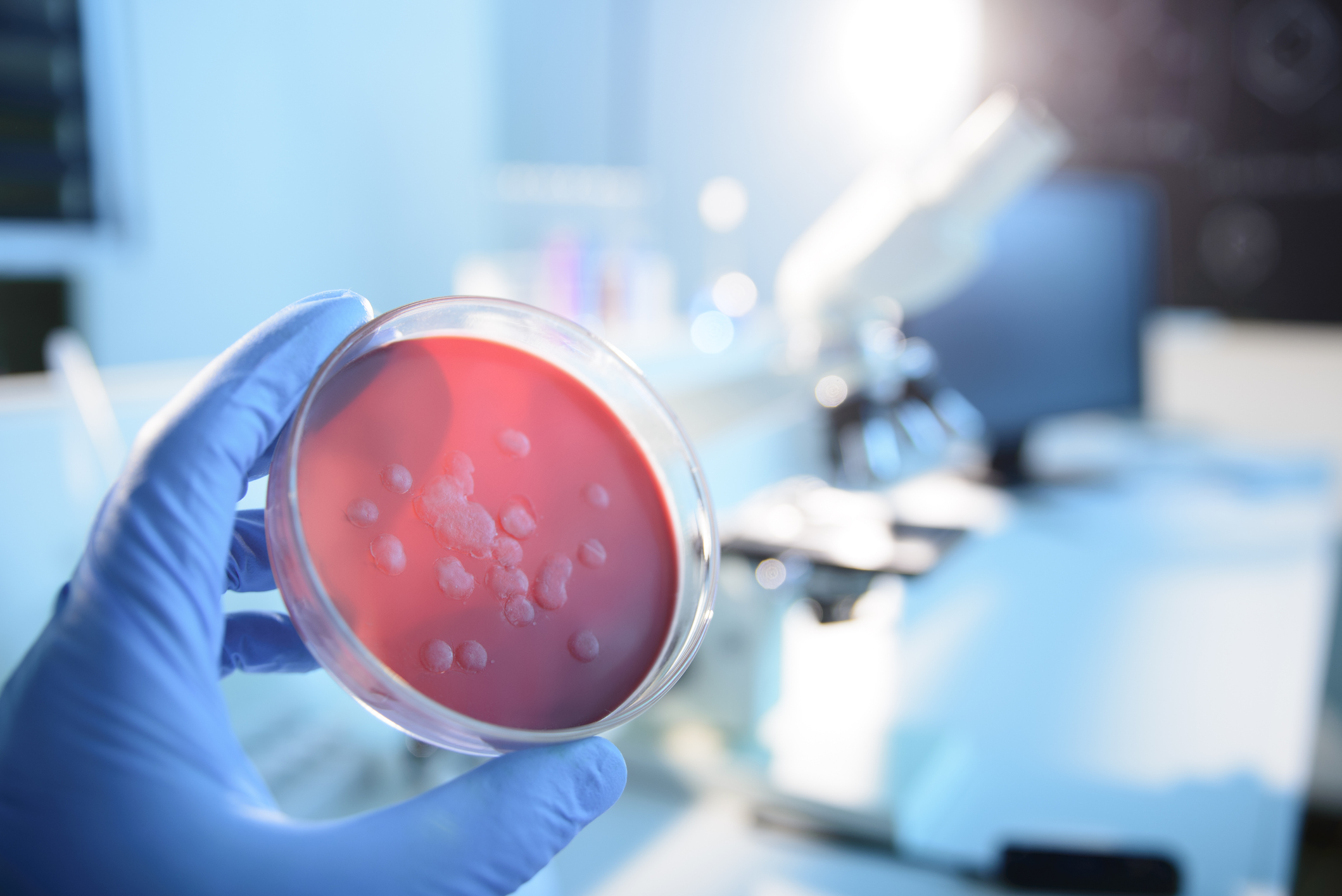 infectious diseases - ID doctors - smartest physicians