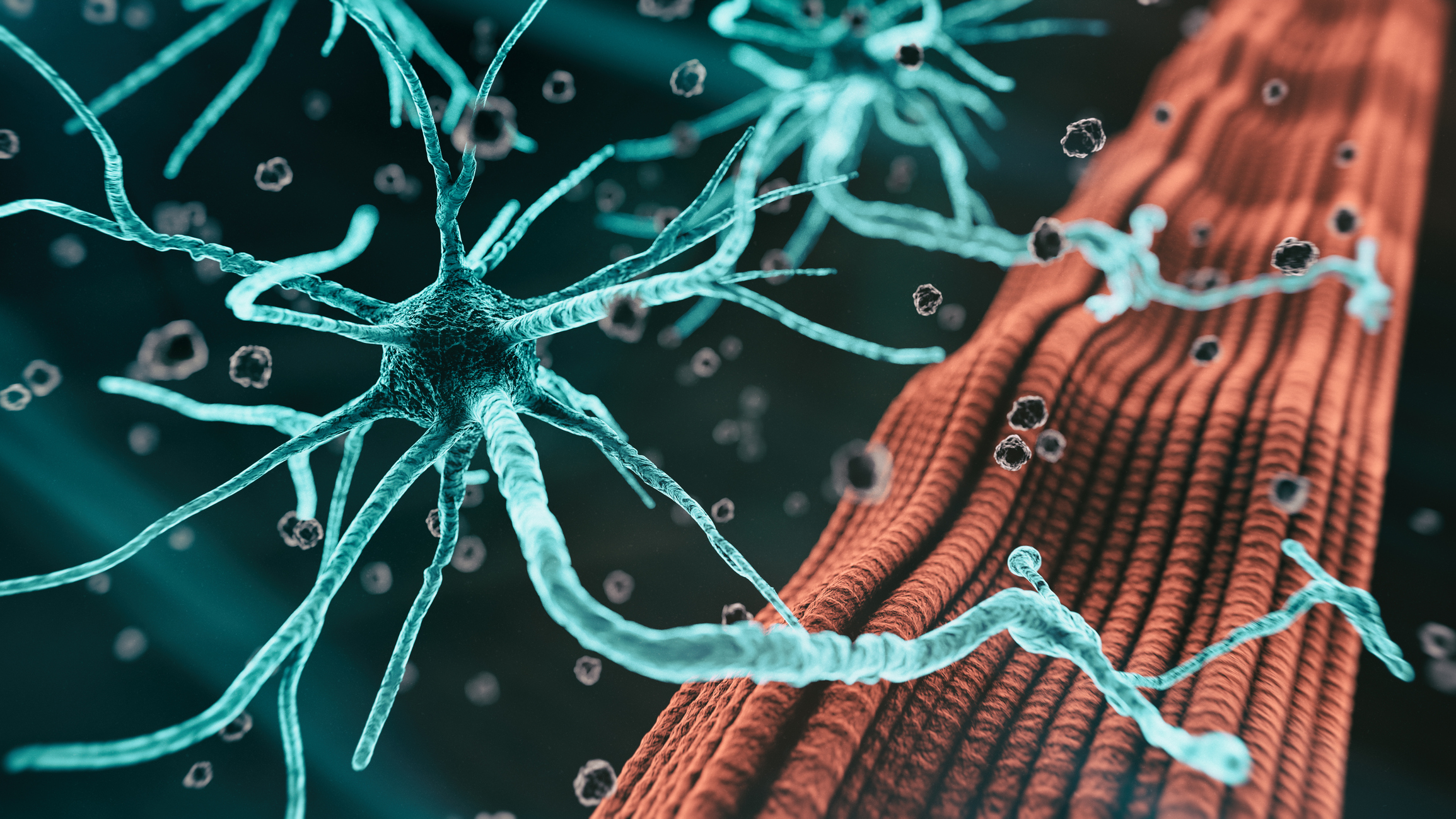 As a neurologist, what are your thoughts on vagus nerve stimulation (VNS) therapy? Recent studies have shown that VNS therapy and selective VNS (sVNS) therapy could have significant potential in help treating various neurological disorders including Alzheimer's disease, Parkinson's disease, and stroke, among others.