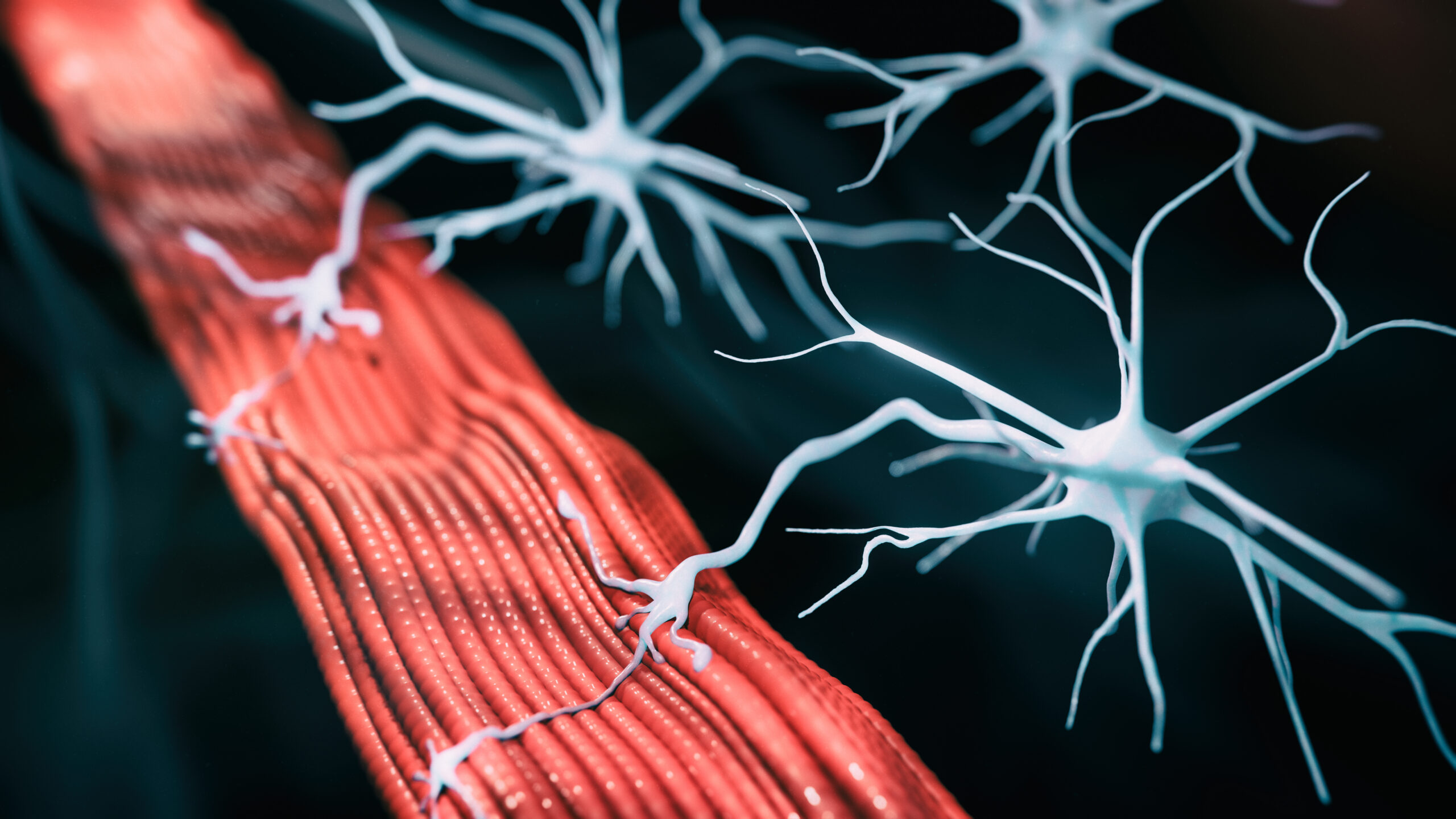 As a neurologist, what are your thoughts on vagus nerve stimulation (VNS) therapy? Recent studies have shown that VNS therapy and selective VNS (sVNS) therapy could have significant potential in help treating various neurological disorders including Alzheimer's disease, Parkinson's disease, and stroke, among others.