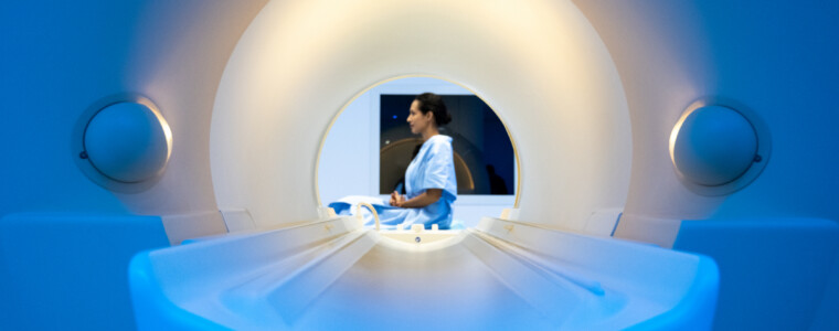 targeted therapy - oncology - immunotherapy - chemotherapy