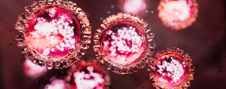 Measles virus