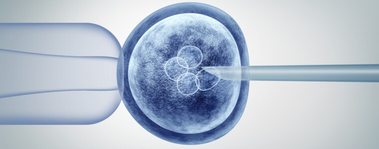 Regenerative medicine is on the verge of revolutionising medical care, offering new solutions to repair or replace damaged tissues and organs. Advancements in this field, such as human biobots, gene therapy, stem cell therapy, and bioprinting organs, continue to emerge and show exceptional promise for near-future application. Stay informed about these cutting-edge treatments that are predicted to alter patient care and outcomes.
