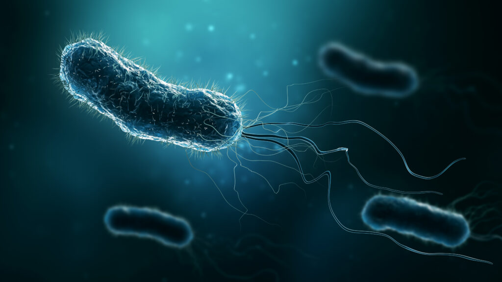 Nature Microbiology study from Technical University of Munich shows a modified antibiotic is far more effective against H. pylori.