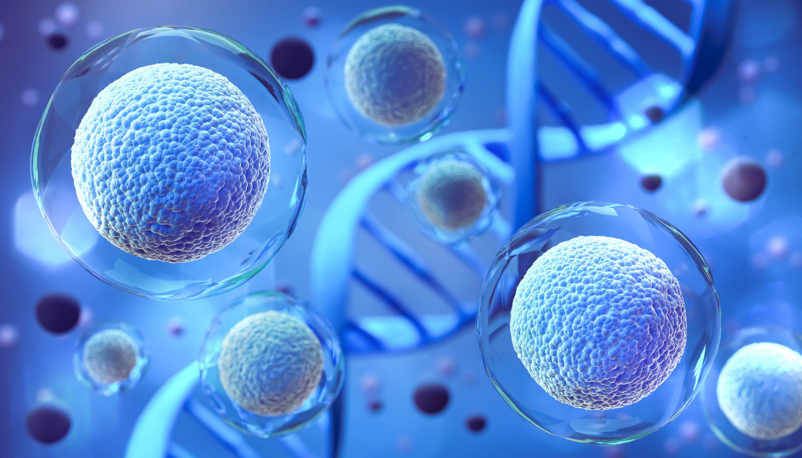 Gene therapy restores hearing in patients with rare genetic deafness, with dfnb9 trial results showing long-term benefits up to 2.5 years.