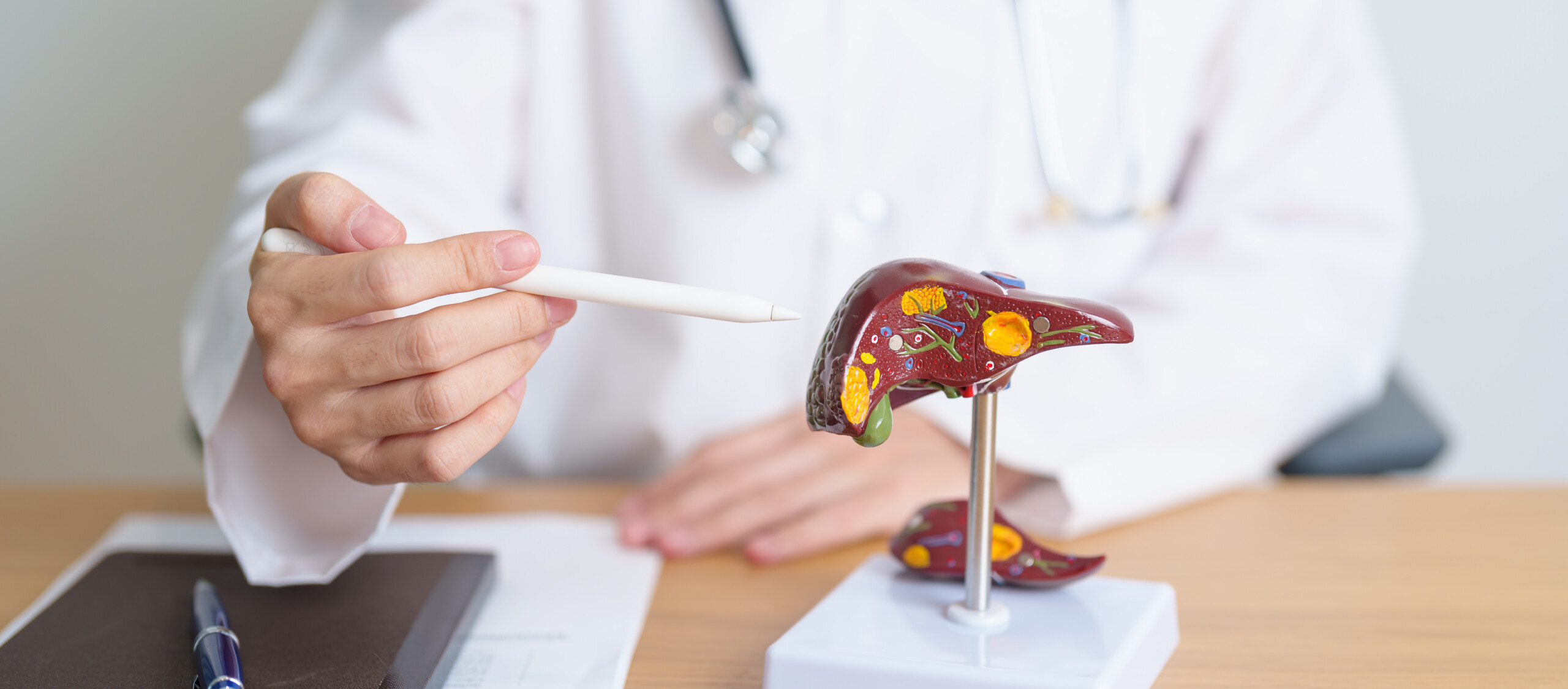 Researchers target map4k4 with a small-molecule inhibitor to treat metabolic dysfunction-associated steatohepatitis (mash) and liver fibrosis.